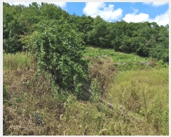  2025Ÿ��10460  �����