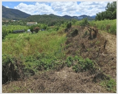  2025Ÿ��10460  �����