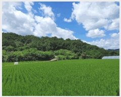  2025Ÿ��10460  �����