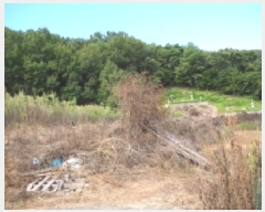  2025Ÿ��10460  �����