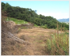  2025Ÿ��10460  �����