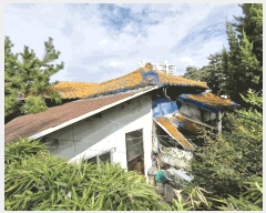  2025Ÿ��10461  ���ð��