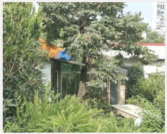  2025Ÿ��10461  ���ð��