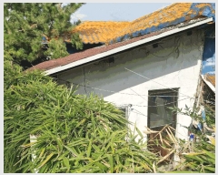  2025Ÿ��10461  ���ð��