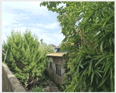  2025Ÿ��10461  ���ð��