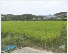  2025Ÿ��10481 �泲 â�籺 �帶�� �尡�� 49      ����(��)���