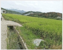  2025Ÿ��10481 �泲 â�籺 �帶�� �尡�� 49      ����(��)���