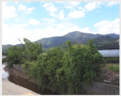  2025Ÿ��10485  ����