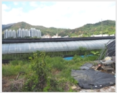  2025Ÿ��10485  ����