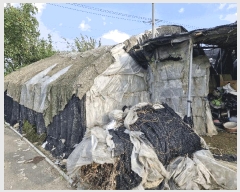  2025Ÿ��10485  ����