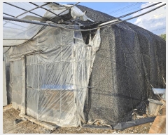  2025Ÿ��10485  ����