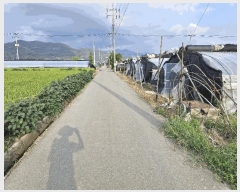  2025Ÿ��10485  ����