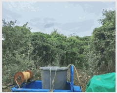  2025Ÿ��10487 �泲 �о�� �곻�� ���Ǹ� 1114      ����(��)���