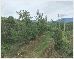  2025Ÿ��10487 �泲 �о�� �곻�� ���Ǹ� 1114      ����(��)���