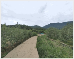  2025Ÿ��10487 �泲 �о�� �곻�� ���Ǹ� 1114      ����(��)���