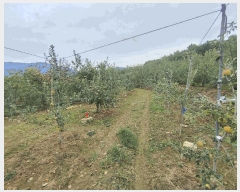  2025Ÿ��10487 �泲 �о�� �곻�� ���Ǹ� 1114      ����(��)���