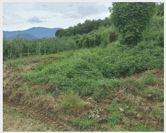  2025Ÿ��10487 �泲 �о�� �곻�� ���Ǹ� 1114      ����(��)���