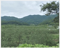  2025Ÿ��10487 �泲 �о�� �곻�� ���Ǹ� 1114      ����(��)���