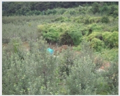  2025Ÿ��10487 �泲 �о�� �곻�� ���Ǹ� 1114      ����(��)���