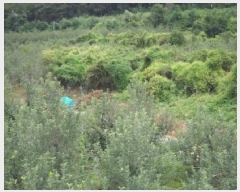  2025Ÿ��10487 �泲 �о�� �곻�� ���Ǹ� 1114      ����(��)���