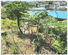  2025Ÿ��10500 �泲 �о�� ��� 680-68       ����(��1)���