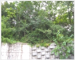  2025Ÿ��10500 �泲 �о�� ��� 680-68       ����(��1)���