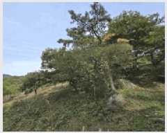  2025Ÿ��10523 �泲 �о�� ����� ���ʸ� 1453-1      ����(��1)���