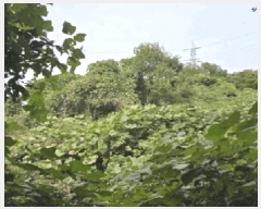  2025Ÿ��10523 �泲 �о�� ����� ���ʸ� 1453-1      ����(��1)���