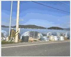  2025Ÿ��10531 �泲 �о�� �ϳ��� ���긮 1373      ����(��)���