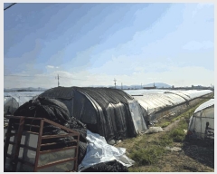  2025Ÿ��10531 �泲 �о�� �ϳ��� ���긮 1373      ����(��)���