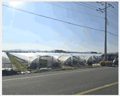  2025Ÿ��10531 �泲 �о�� �ϳ��� ���긮 1373      ����(��)���