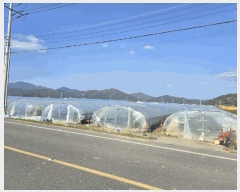  2025Ÿ��10531 �泲 �о�� �ϳ��� ���긮 1373      ����(��)���
