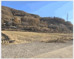  2025Ÿ��10573 �泲 �о�� �ʵ��� ���긮 1454-5      ����(��)���