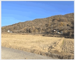  2025Ÿ��10573 �泲 �о�� �ʵ��� ���긮 1454-5      ����(��)���