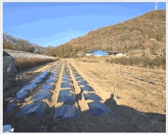  2025Ÿ��10573 �泲 �о�� �ʵ��� ���긮 1454-5      ����(��)���