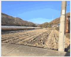  2025Ÿ��10573 �泲 �о�� �ʵ��� ���긮 1454-5      ����(��)���
