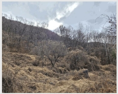  2025Ÿ��179 �泲 �о�� ���ȸ� ���� ��250-1      ����(�Ӿ�)���