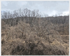  2025Ÿ��179 �泲 �о�� ���ȸ� ���� ��250-1      ����(�Ӿ�)���