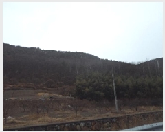  2025Ÿ��179 �泲 �о�� ���ȸ� ���� ��250-1      ����(�Ӿ�)���