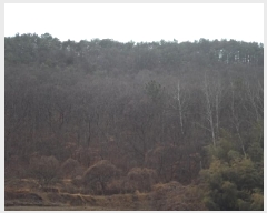  2025Ÿ��179 �泲 �о�� ���ȸ� ���� ��250-1      ����(�Ӿ�)���