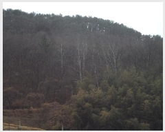  2025Ÿ��179 �泲 �о�� ���ȸ� ���� ��250-1      ����(�Ӿ�)���