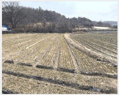  2025Ÿ��10234 �泲 â�籺 �̹�� �ų��� 706-1      ����(��)���