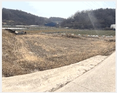  2025Ÿ��10234 �泲 â�籺 �̹�� �ų��� 706-1      ����(��)���