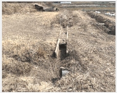  2025Ÿ��10234 �泲 â�籺 �̹�� �ų��� 706-1      ����(��)���