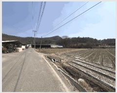  2025Ÿ��10234 �泲 â�籺 �̹�� �ų��� 706-1      ����(��)���