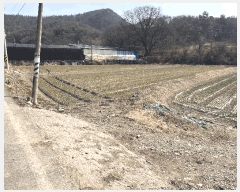  2025Ÿ��10234 �泲 â�籺 �̹�� �ų��� 706-1      ����(��)���