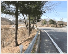  2025Ÿ��10264 �泲 �о�� �ʵ��� ���渮 619-1      ����(��1)���