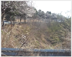  2025Ÿ��10264 �泲 �о�� �ʵ��� ���渮 619-1      ����(��1)���