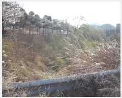  2025Ÿ��10264 �泲 �о�� �ʵ��� ���渮 619-1      ����(��1)���