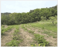  2025Ÿ��10313 �泲 �о�� �󵿸� ��� 383-5      ����(��1)���